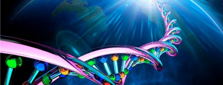 COSA STA ACCADENDO AL NOSTRO DNA ???AGGIORNAMENTO SUI SITOMI DELL’INNALZAMENTO VIBRAZIONALE