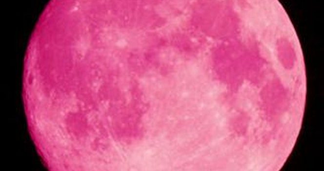 2 GIUGNO  2015  LUNA PIENA: LUNA DELLA ROSA O DEL MIELE