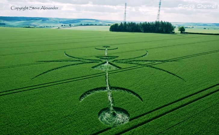 ATTENZIONE AI CERCHI NEL GRANO FALSI !