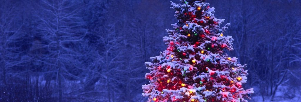 L’ALBERO DI NATALE,L’AGRIFOGLIO E TUTTE LE CORRISPONDENZE DEL SOLSTIZIO