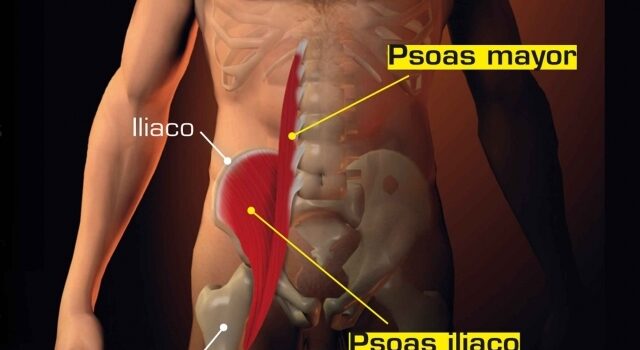 LAVORARE SUL “MUSCOLO DELL’ANIMA” PER AVERE INCREDIBILI BENEFICI