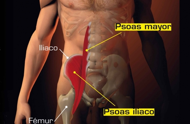 LAVORARE SUL “MUSCOLO DELL’ANIMA” PER AVERE INCREDIBILI BENEFICI