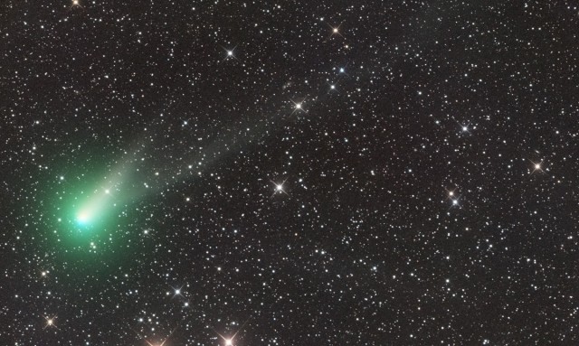 LA COMETA A DUE CODE CATALINA VICINISSIMA ALLA TERRA – 17 GENNAIO  2016.