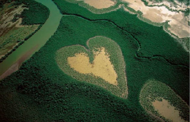 RITORNA AL CUORE DELLA TERRA ,UOMO!!!