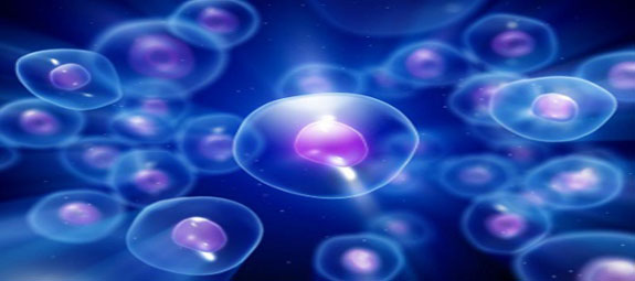 RIPROGRAMMAZIONE CELLULARE