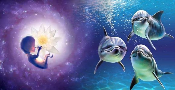 I VOSTRI MESSAGGI : GRAZIE A TUTTE LE ANIME CHE HANNO CONDIVISO  IL LORO SENTIRE SUL MIO BLOG