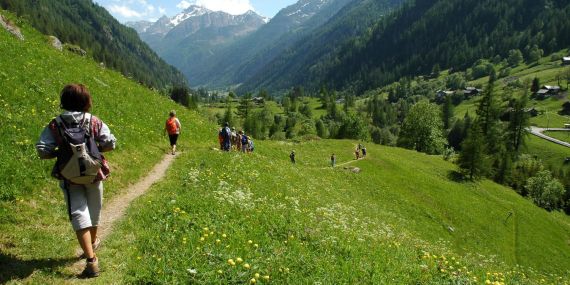 CAMMINARE NEI BOSCHI FA BENE AL CERVELLO E AL CORPO