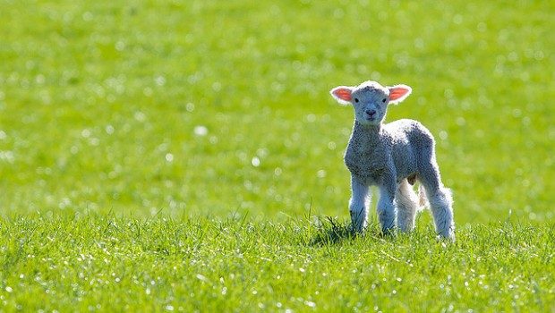 PASQUA : L’ANTICA FESTA DELLA VITA