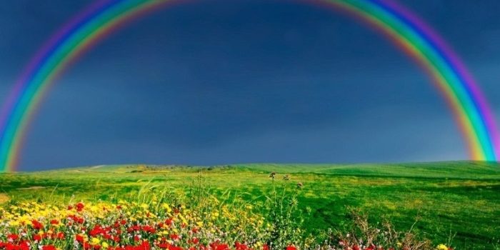 SETTIMANA dal  14 Al 20 MARZO 2016  : APERTURA DEL PORTALE DIMENSIONALE “ARCOBALENO”