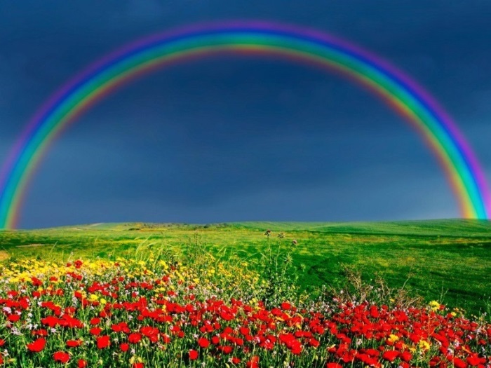 SETTIMANA dal  14 Al 20 MARZO 2016  : APERTURA DEL PORTALE DIMENSIONALE “ARCOBALENO”