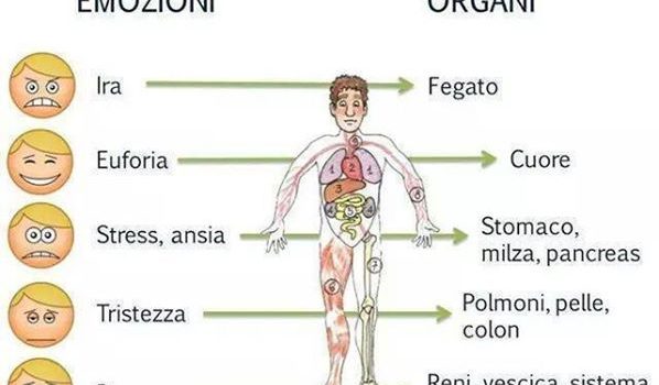 L’ENERGIA DELLE EMOZIONI DECIDE LA SALUTE DEGLI ORGANI. ECCO COME COMPRENDERLE