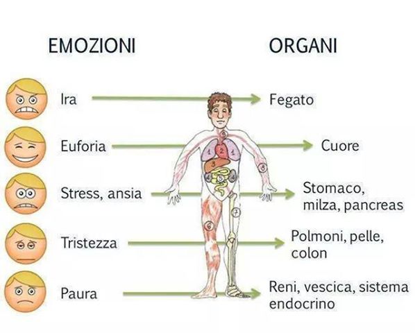 L’ENERGIA DELLE EMOZIONI DECIDE LA SALUTE DEGLI ORGANI. ECCO COME COMPRENDERLE