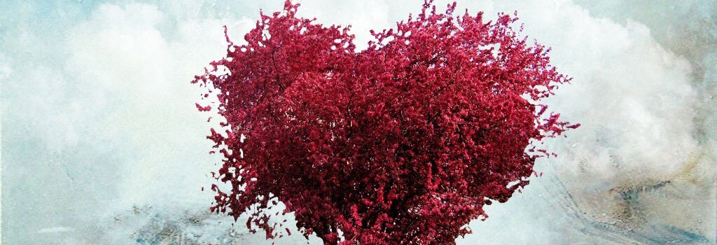 BISOGNA ASCOLTARE IL CUORE