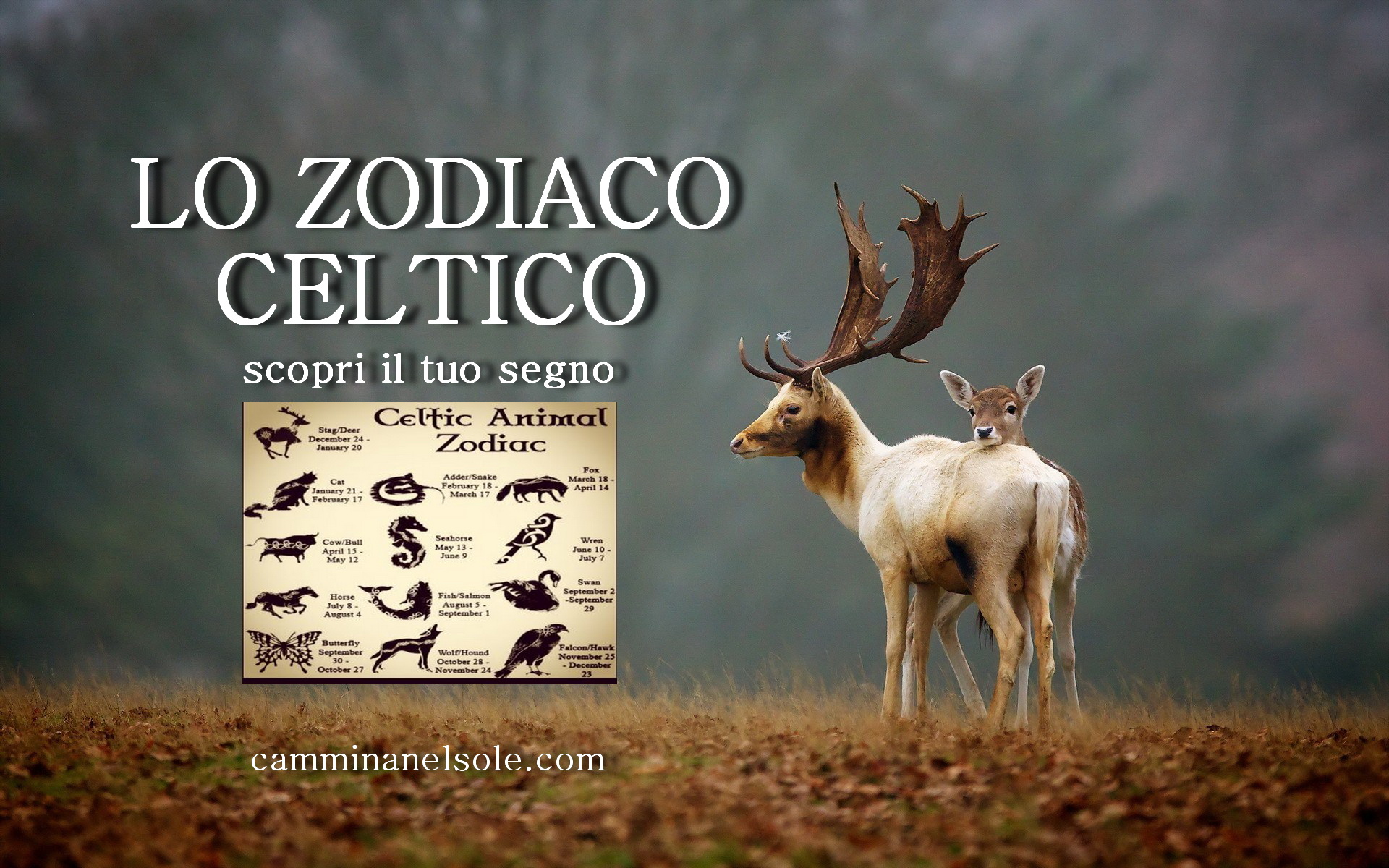 Lo zodiaco celtico. Scopri il tuo animale lunare