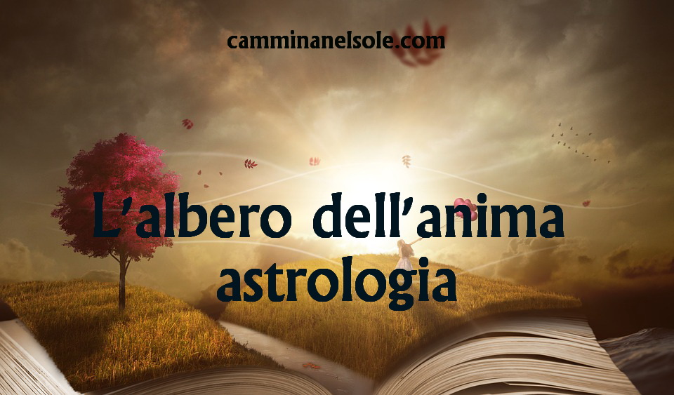 L’ALBERO DELL’ANIMA -ASTROLOGIA- DA QUALE ALBERO E’ CADUTA LA TUA ANIMA? LA RISPOSTA NELLA TUA DATA DI NASCITA