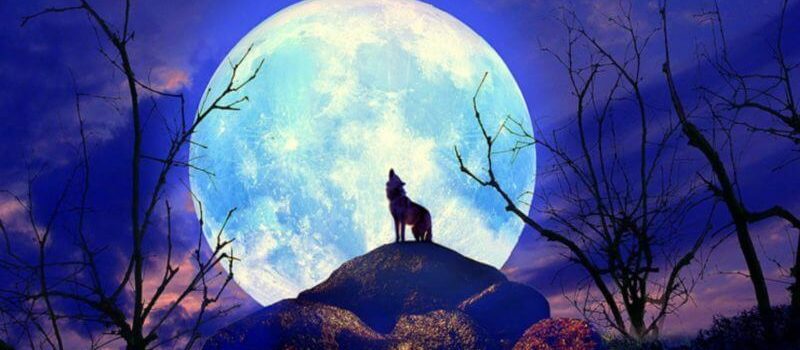 LUNA PIENA IN CAPRICORNO -13 LUGLIO 2022 : COSA STAI CERCANDO DI OTTENERE?