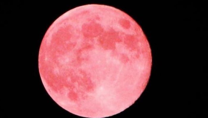 LUNA PIENA – 27 APRILE 2021 – LA SUPER LUNA ROSA DEL WESAK