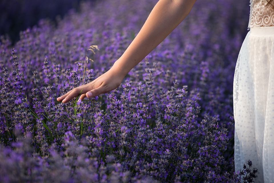 LA RESPONSABILITA’ DEL TUO “GIARDINO”